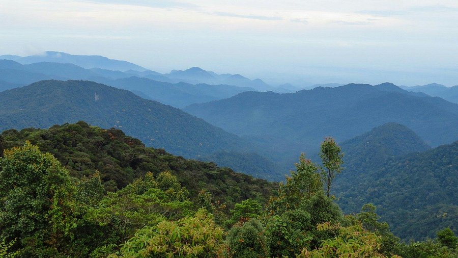 gunung brinchang