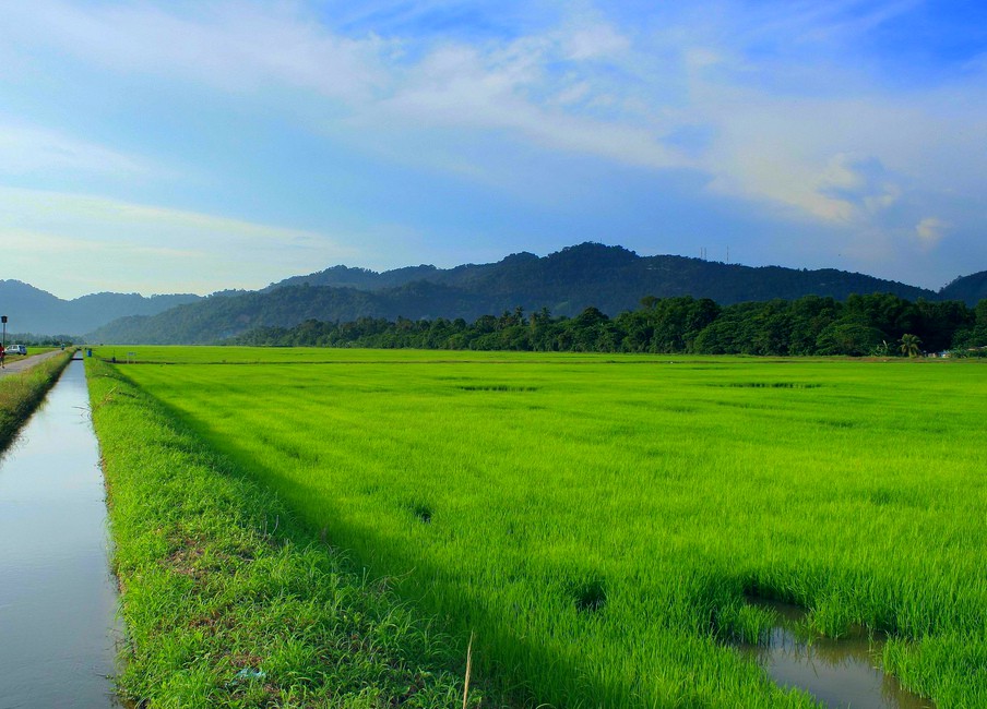 Balik Pulau