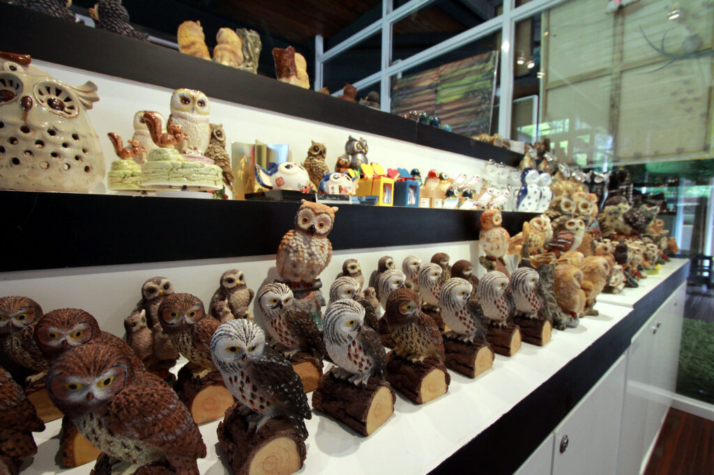 Penang Owl Museum