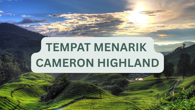 Tempat Menarik Di Cameron Highland