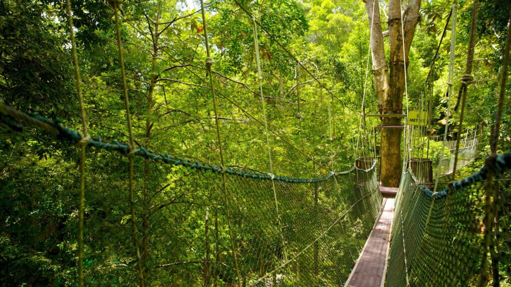 Taman Negara Pulau Pinang