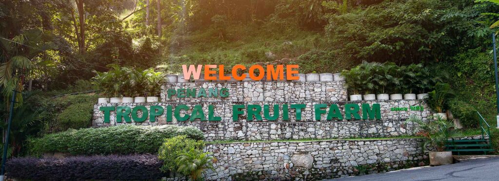 Tropical Fruit Farm